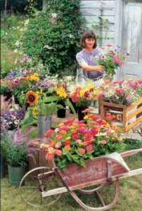 Grow Flowers for Profit Image